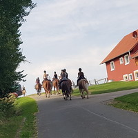 Das sollten Sie nutzen! Das sollten Sie nutzen!