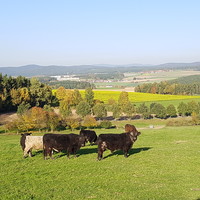 Mecklenburg-Vorpommern