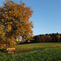 Herbstzeit für Berlin u. Brandenburg Herbstzeit für Berlin u. Brandenburg