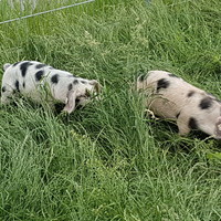 Sommerurlaub 2019 Sommerurlaub 2019