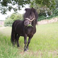 Seien auch Sie dabei! Seien auch Sie dabei!